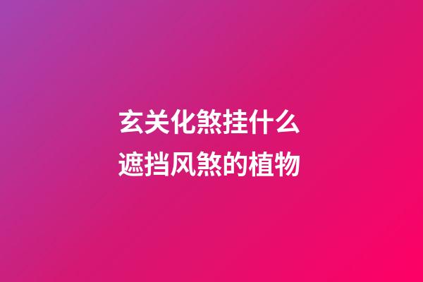 玄关化煞挂什么 遮挡风煞的植物